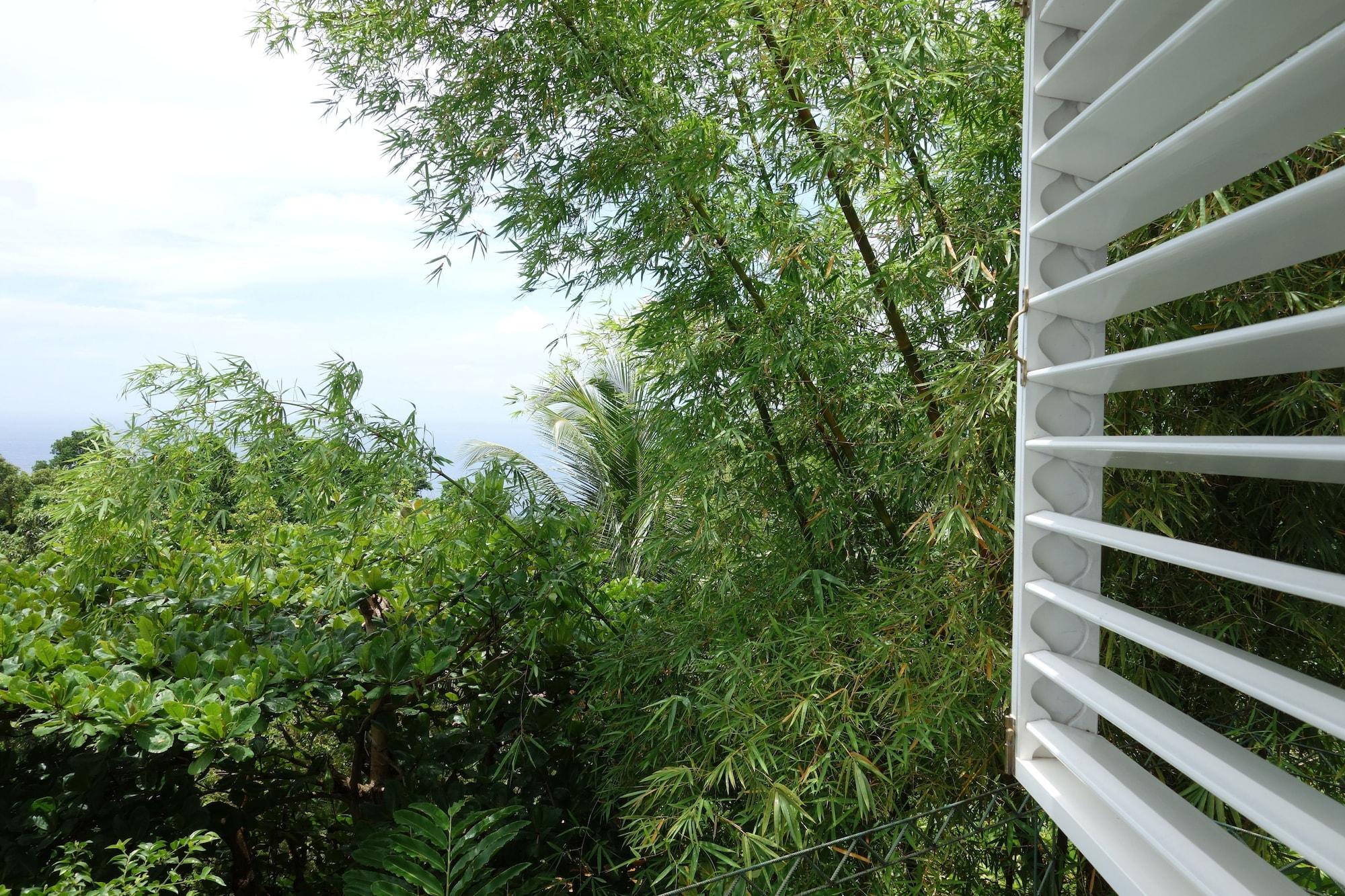Hotel Mockingbird Hill Port Antonio Extérieur photo