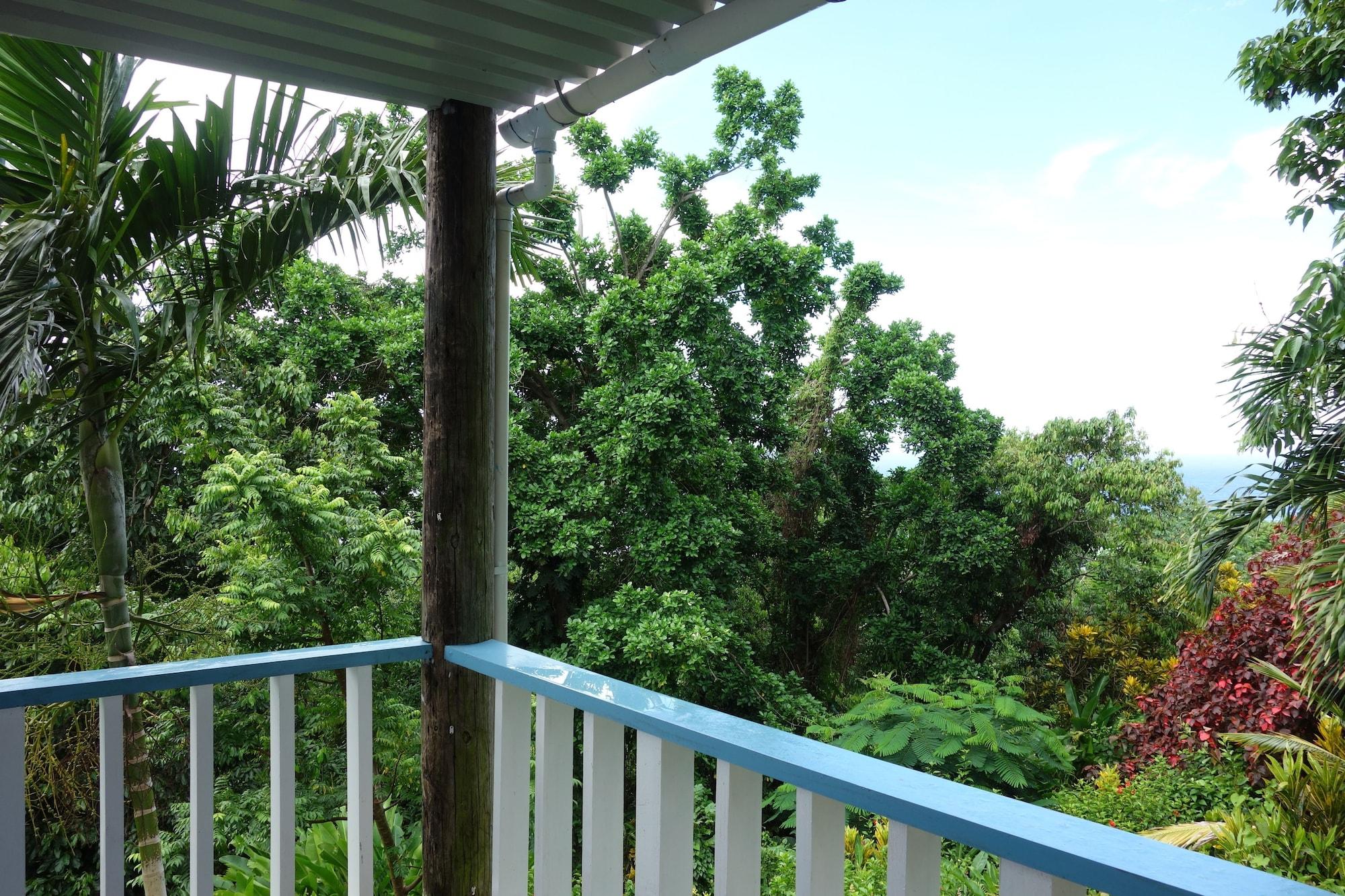 Hotel Mockingbird Hill Port Antonio Extérieur photo
