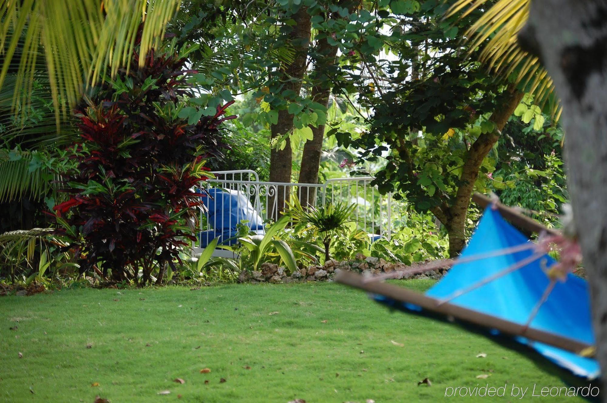 Hotel Mockingbird Hill Port Antonio Facilités photo