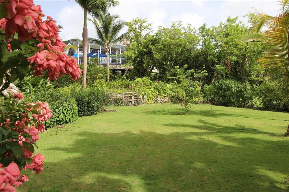 Hotel Mockingbird Hill Port Antonio Extérieur photo