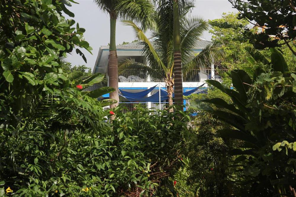Hotel Mockingbird Hill Port Antonio Extérieur photo