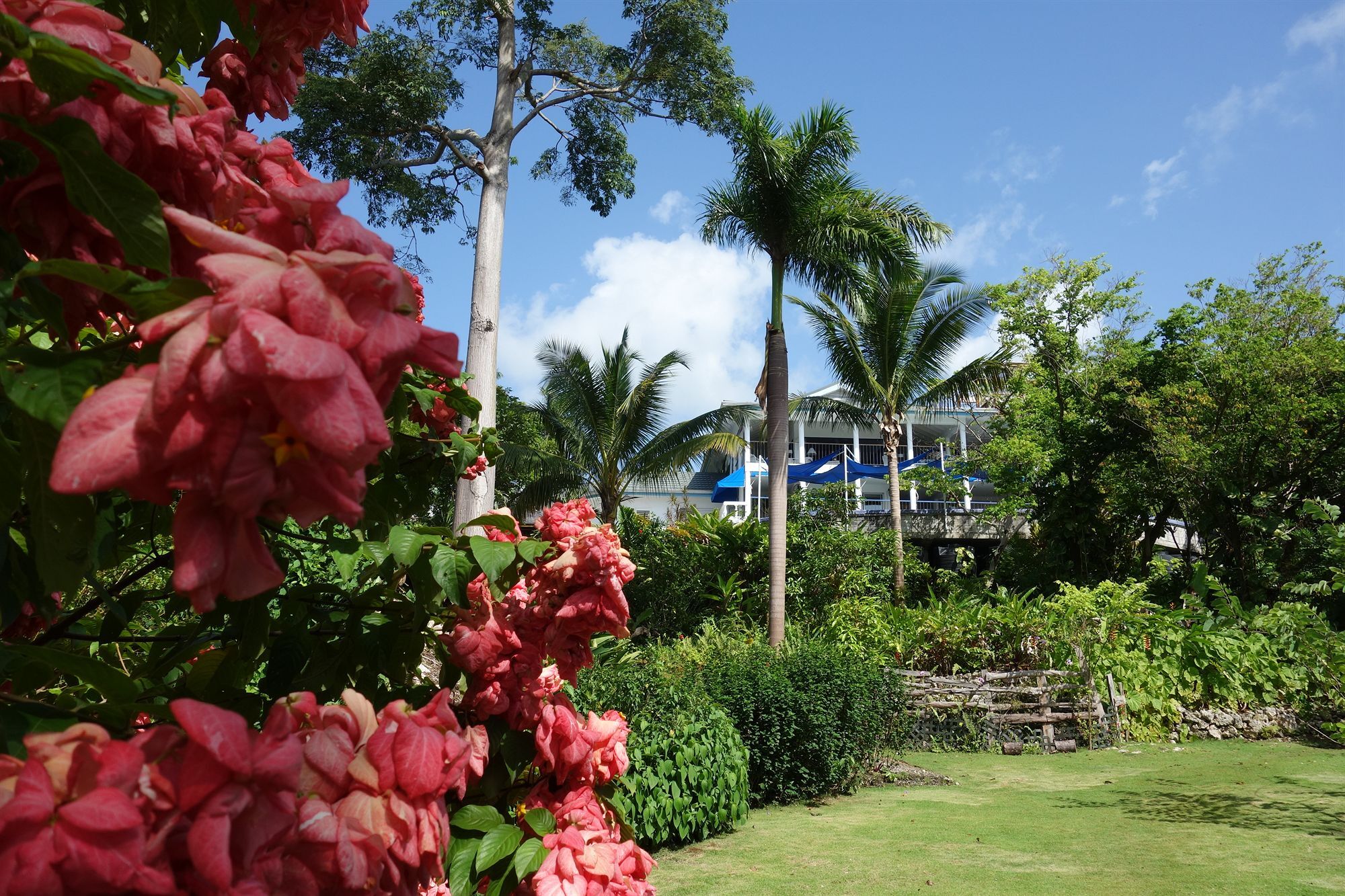 Hotel Mockingbird Hill Port Antonio Extérieur photo