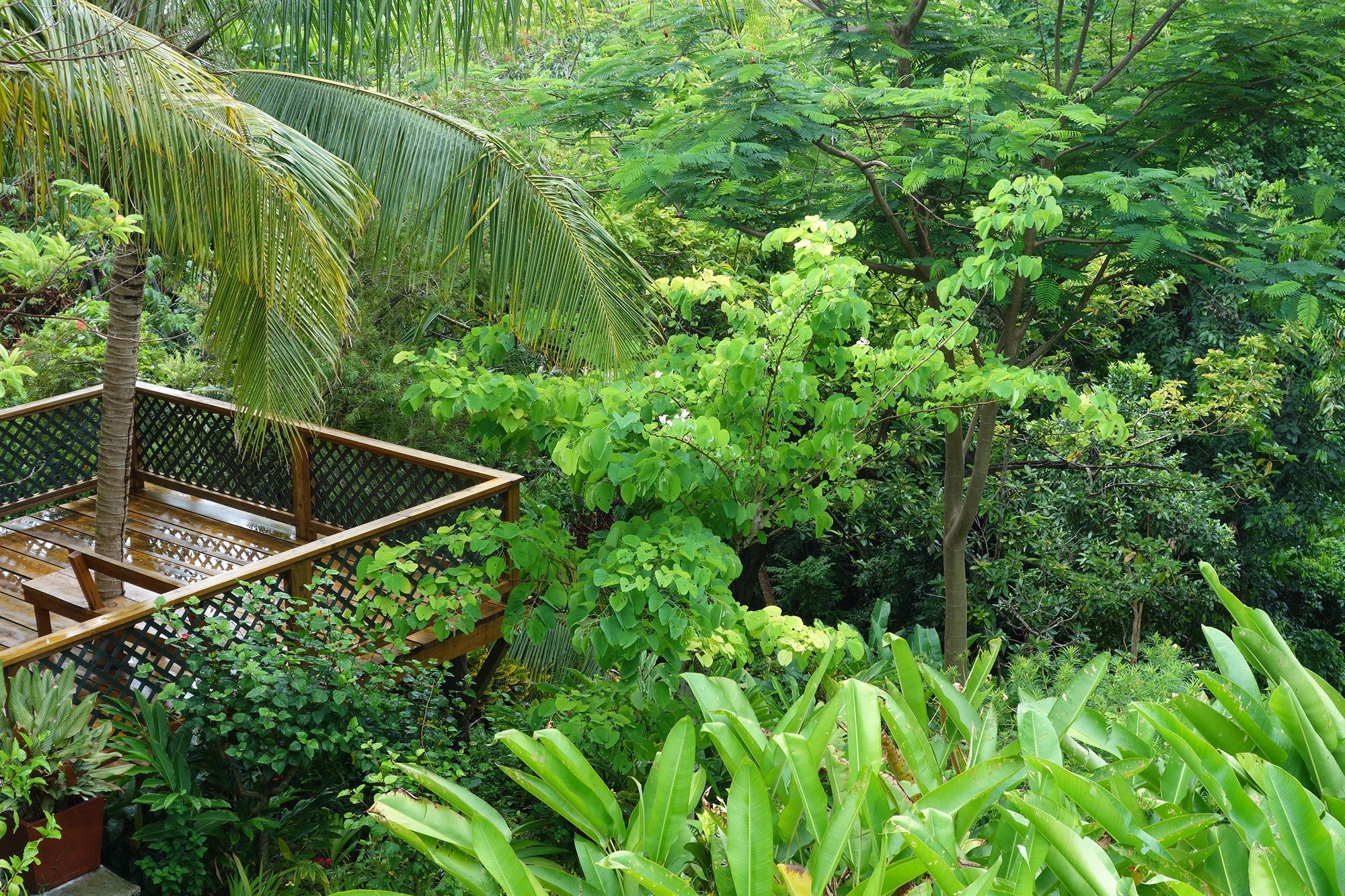 Hotel Mockingbird Hill Port Antonio Extérieur photo