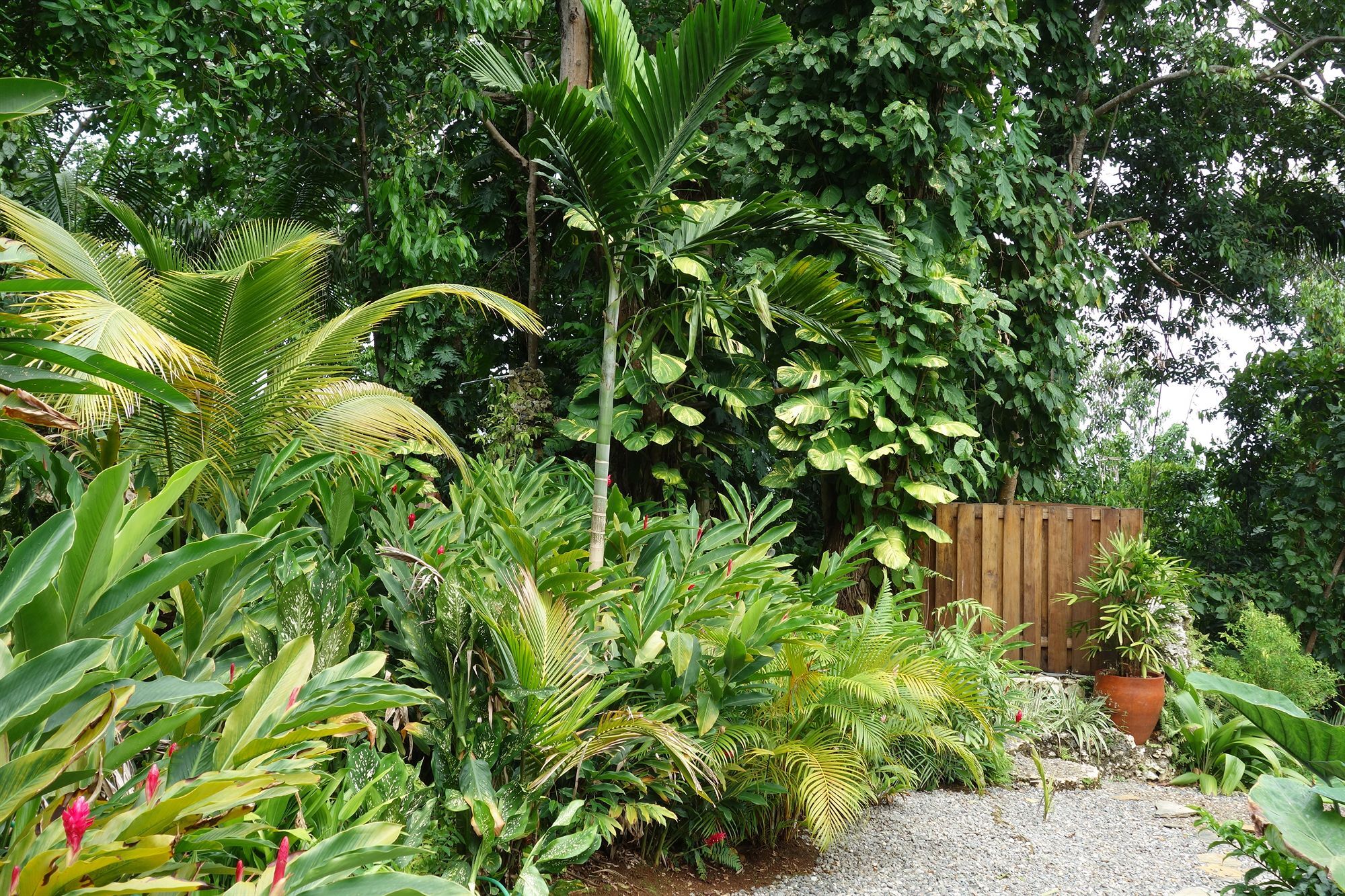 Hotel Mockingbird Hill Port Antonio Extérieur photo