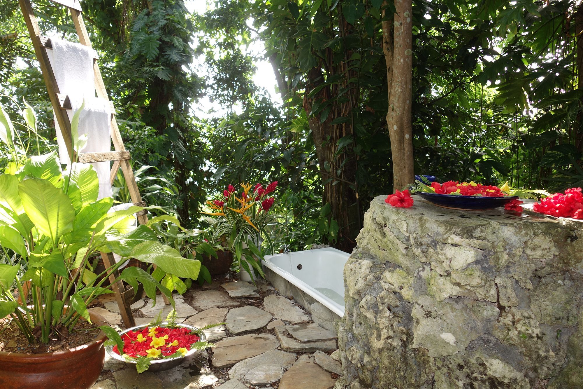 Hotel Mockingbird Hill Port Antonio Extérieur photo