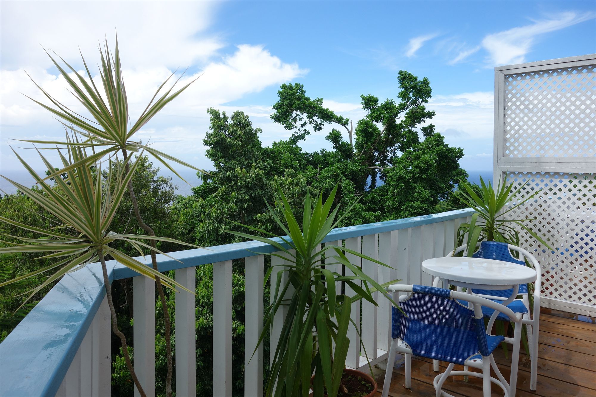 Hotel Mockingbird Hill Port Antonio Extérieur photo