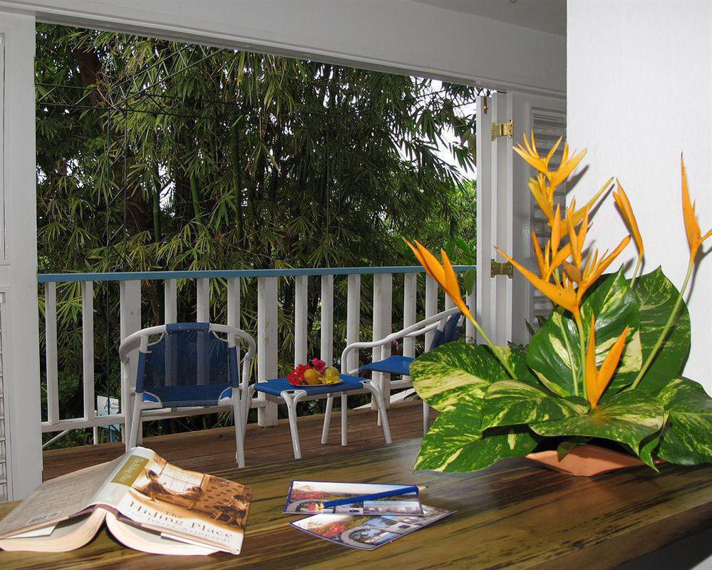 Hotel Mockingbird Hill Port Antonio Extérieur photo